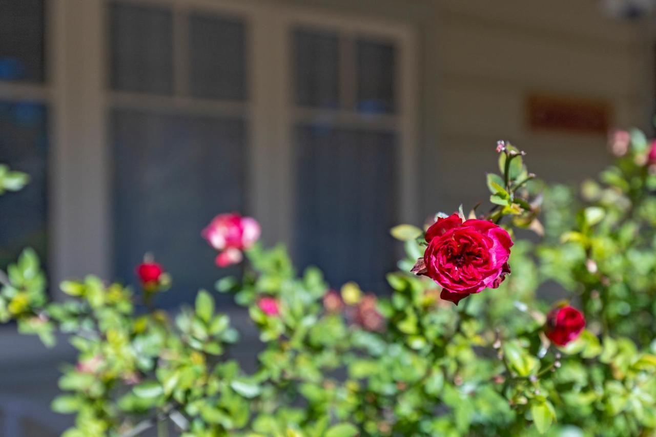 Keira Cottage Katoomba Luaran gambar